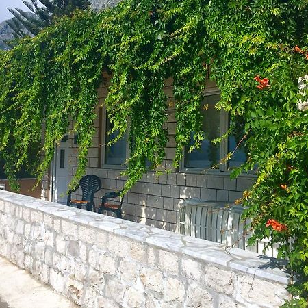 Sea View Apartment, Todorovic Kotor Exterior photo